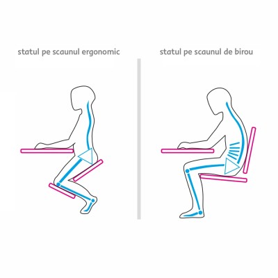 Scaun ergonomic, petrol/ fag, FLONET