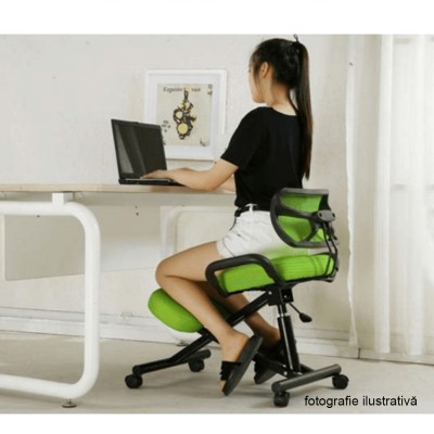 Scaun ergonomic RUFUS